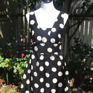 LOFT Abstract Polka Dot Fit and Flare